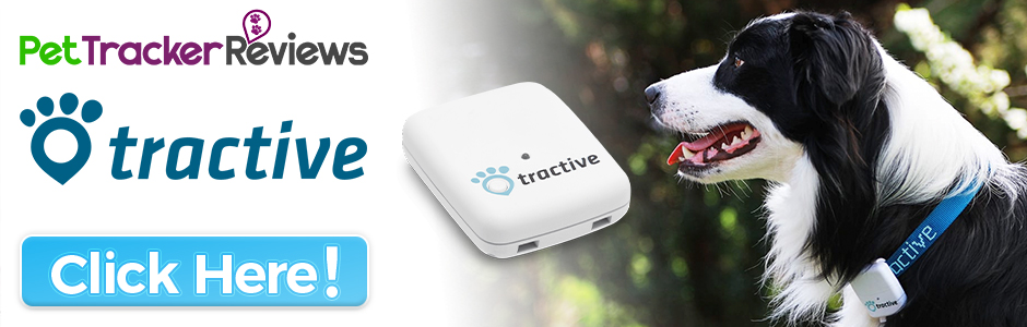 tractive-gps-pet-tracker Tractive GPS Pet Tracker Review