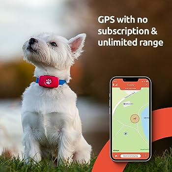 PitPat Dog Tracker Review 2023